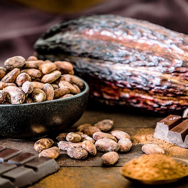 Pieces of chocolate scattered around cocoa beans and leaves on a wooden table. Pieces of chocolate scattered around cocoa beans and leaves on a wooden table.