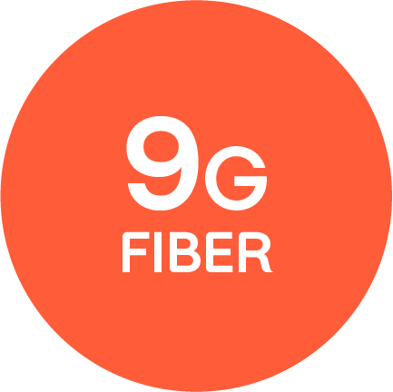 "9G FIBER" written in an orange circle.