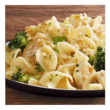 Chicken and broccoli pasta bake on a white plate and wooden table top.