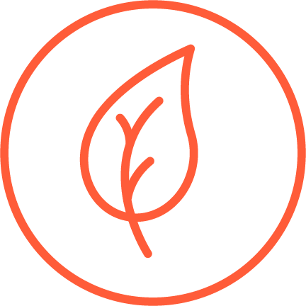 Orange icon of leaf in white circle.