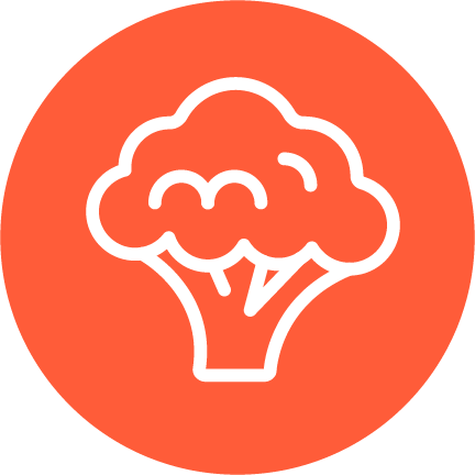 An orange icon of a cauliflower.