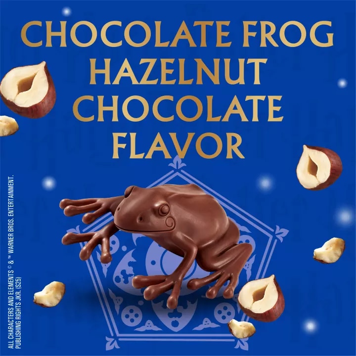 Harry Potter Hazelnut Chocolate Frog