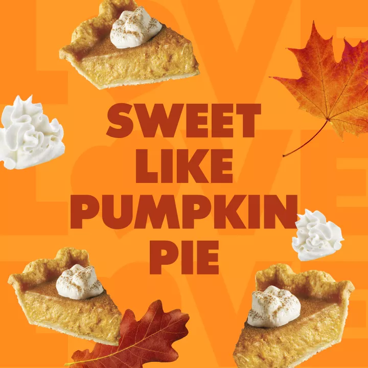 NESTLE COFFEE MATE Pumpkin Spice Liquid Non-Dairy Creamer 32 fl oz Bottle