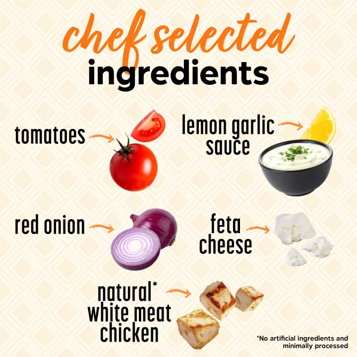 Mediterranean Style Chicken Gyro