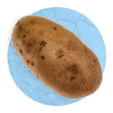 Close up of a whole potato, on a blue background