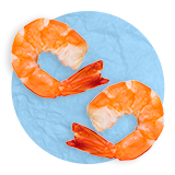 Close up of two cooked shrimp on a blue background.