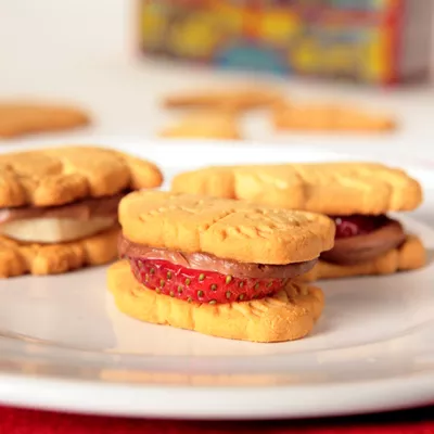 Nesquik Animal Cracker Sandwiches